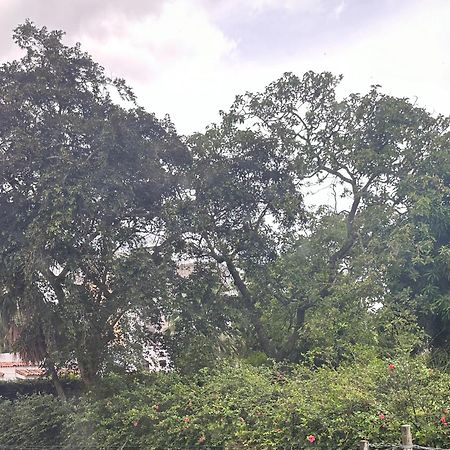 Monblanc Apartamento Completo San Salvador Kültér fotó