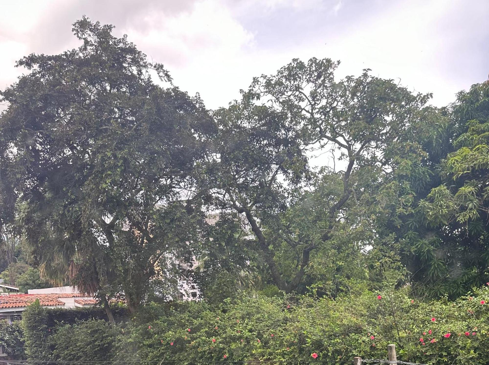 Monblanc Apartamento Completo San Salvador Kültér fotó